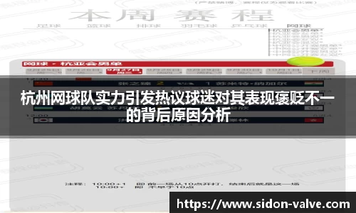 杭州网球队实力引发热议球迷对其表现褒贬不一的背后原因分析